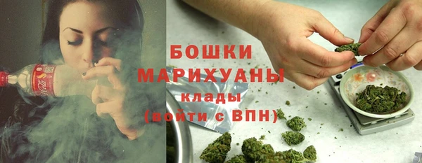 ПСИЛОЦИБИНОВЫЕ ГРИБЫ Корсаков