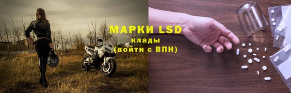 ПСИЛОЦИБИНОВЫЕ ГРИБЫ Корсаков