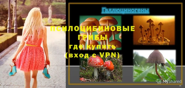 ПСИЛОЦИБИНОВЫЕ ГРИБЫ Корсаков