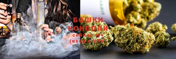 ПСИЛОЦИБИНОВЫЕ ГРИБЫ Корсаков