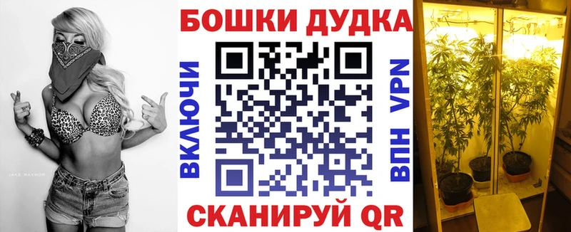 Купить закладки  Николаевск-на-Амуре  Канабис VHQ 